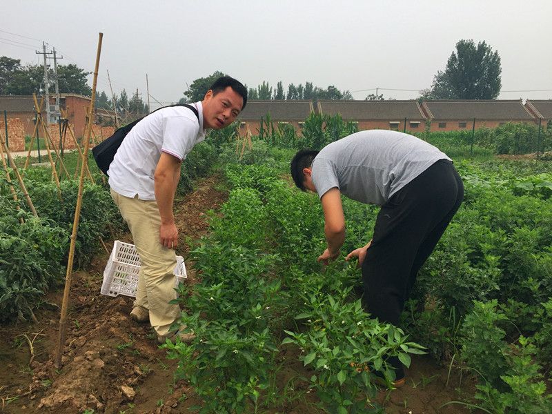 好利來郭總喊您來摘菜啦！綠色無公害，放心！